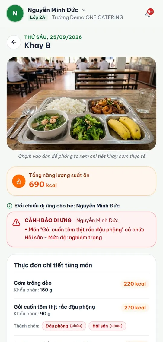 Chi tiết khay cơm